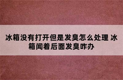 冰箱没有打开但是发臭怎么处理 冰箱闻着后面发臭咋办